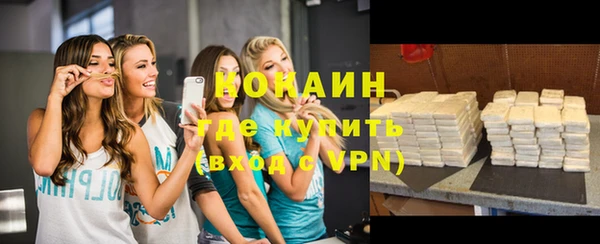 шишки Беломорск