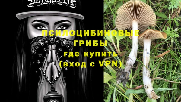 шишки Беломорск