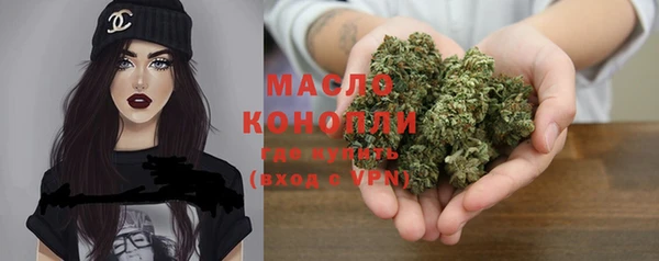 индика Белокуриха