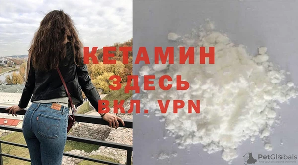 шишки Беломорск