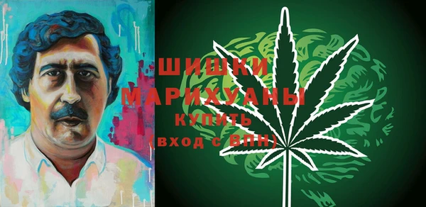 индика Белокуриха