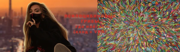 ГАЛЛЮЦИНОГЕННЫЕ ГРИБЫ Россошь