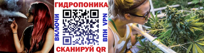 купить наркотик  Новое Девяткино  Каннабис сатива 